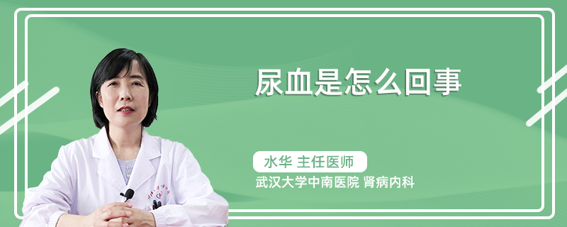 尿血是怎么回事