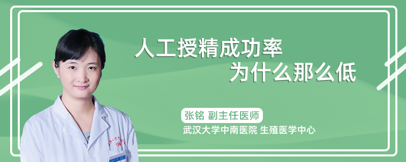 人工授精成功率为什么那么低