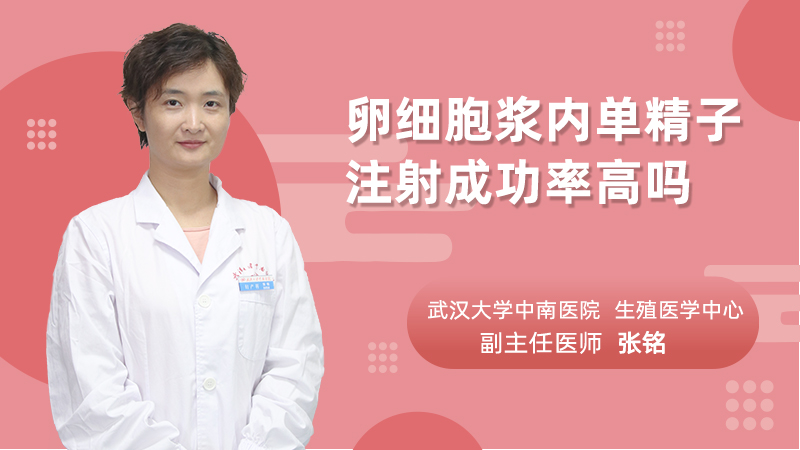 卵细胞浆内单精子注射成功率高吗