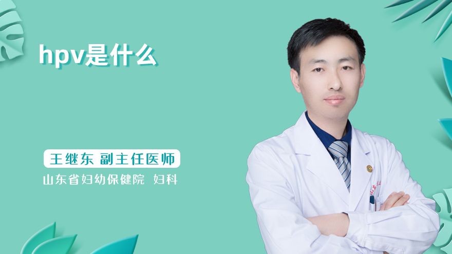 hpv是什么