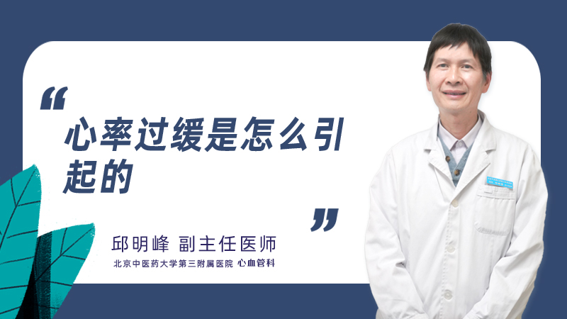 心率过缓是怎么引起的