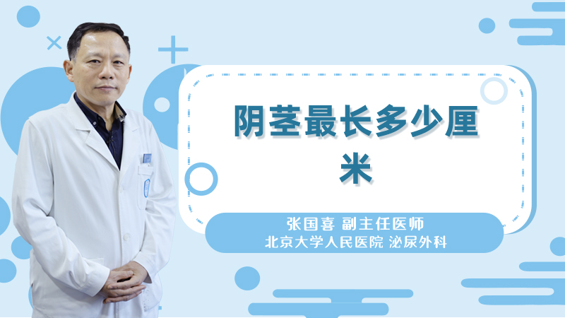 阴茎最长多少厘米