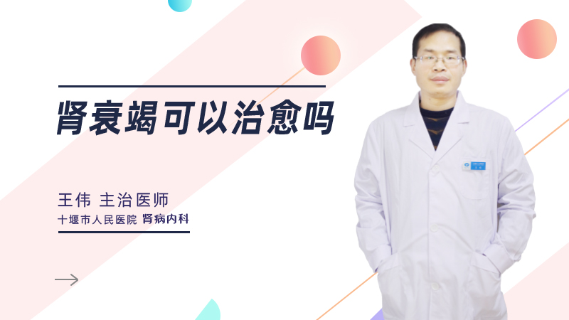 肾衰竭可以治愈吗