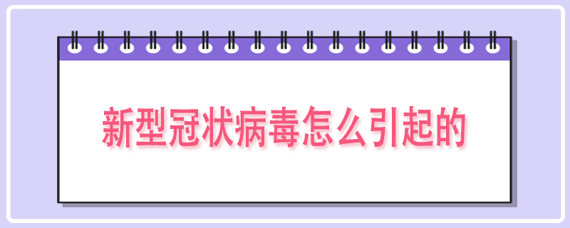 新型冠状病毒怎么引起的