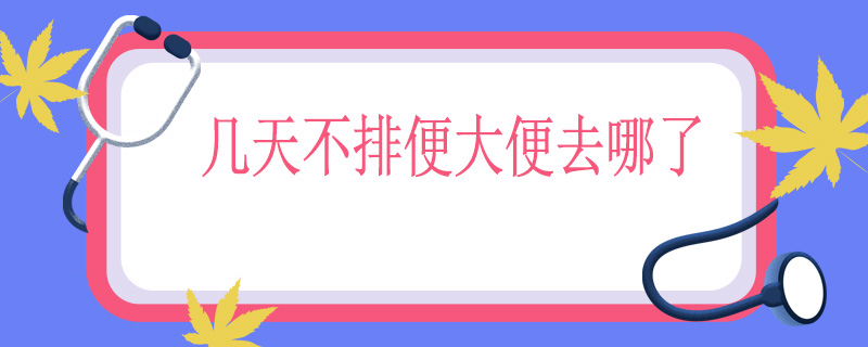 几天不排便大便去哪了