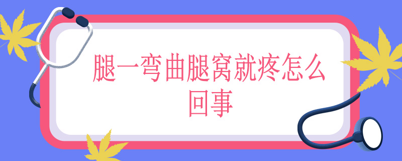 腿一弯曲腿窝就疼怎么回事
