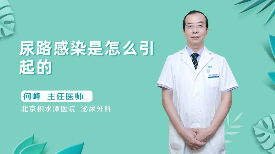 尿路感染是怎么引起的