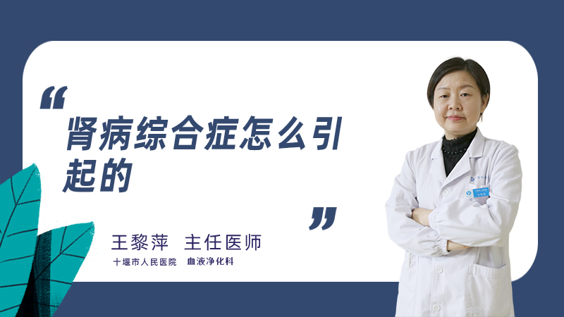 肾病综合症怎么引起的
