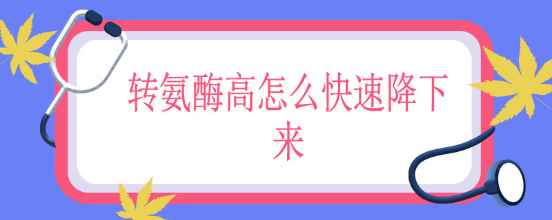 转氨酶高怎么快速降下来