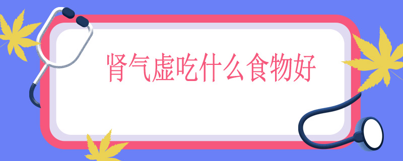 肾气虚吃什么食物好