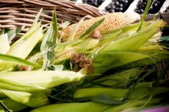 玉米须泡水喝能减肥吗，玉米须减肥茶做法