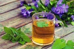 桑叶茶不适合什么人喝，桑叶茶的功效