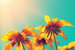 三伏贴从什么时候开始贴，三伏贴一疗程多少天