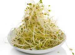 寒性食物有哪些，哪些食物是寒性