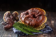 牛大力和什么煲汤好，牛大力的最佳搭配