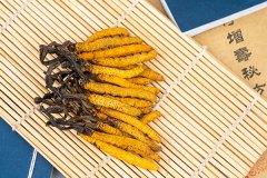 冬虫夏草一天吃几根，冬虫夏草什么时候吃最好