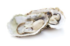 牡蛎怎么吃，四种牡蛎的食用方法
