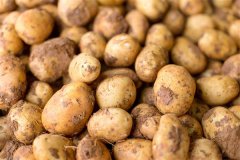 提高代谢的食物，吃什么可以提高代谢