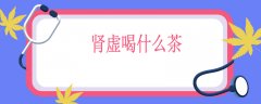 肾虚喝什么茶，肾虚必喝的补肾茶