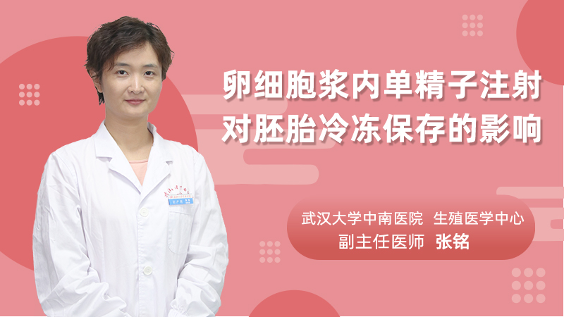 卵细胞浆内单精子注射对胚胎冷冻保存的影响