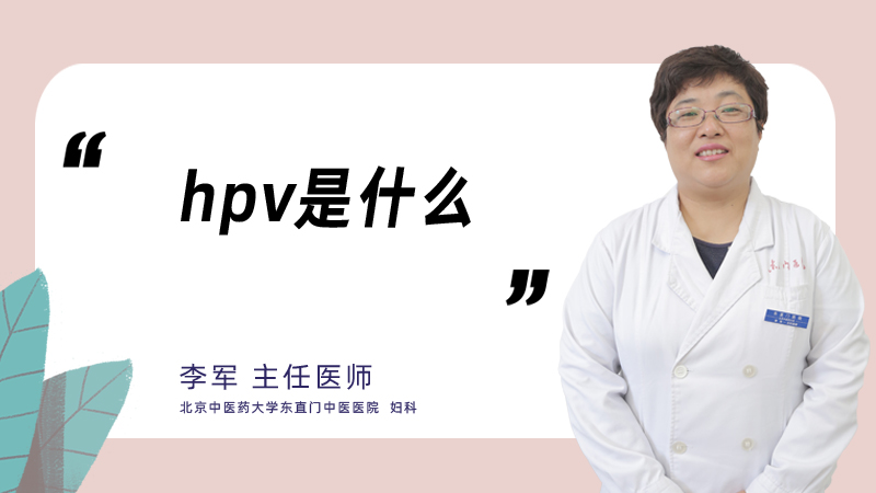 hpv是什么