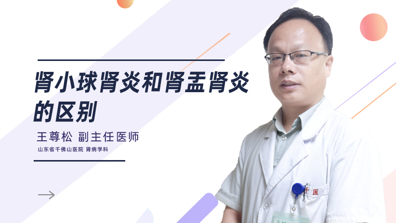 肾小球肾炎和肾盂肾炎的区别