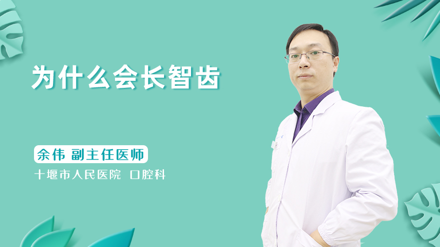 为什么会长智齿