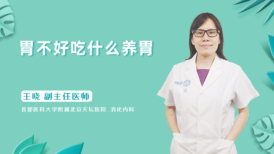 胃不好吃什么养胃