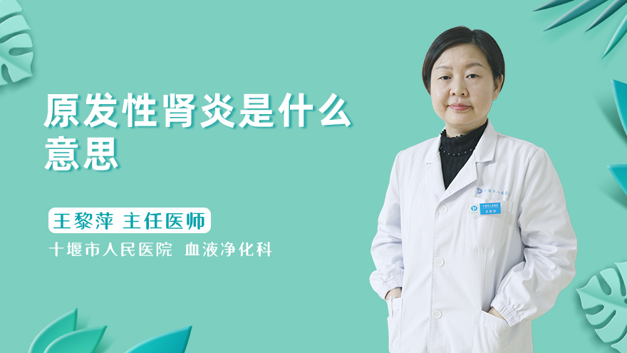 原发性肾炎是什么意思