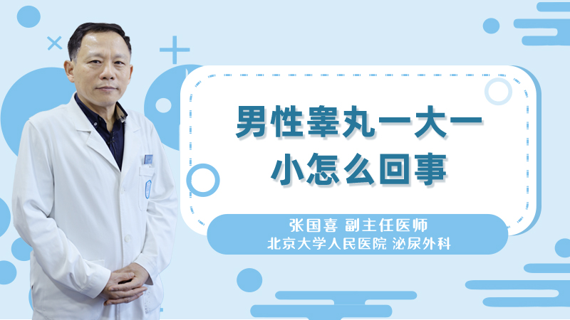 男性睾丸一大一小怎么回事