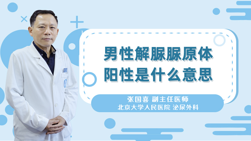 <b>男性解脲脲原体阳性是什么意思</b>