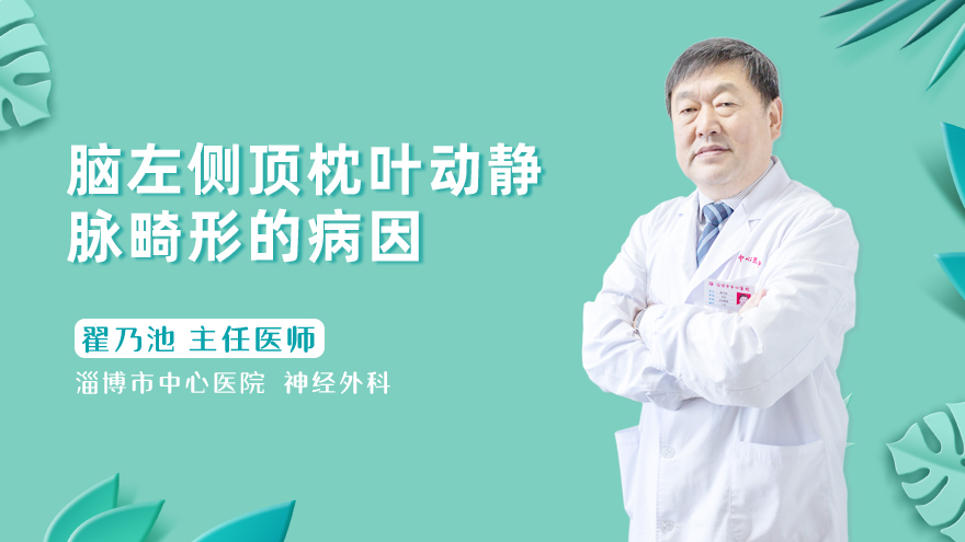脑动静脉畸形的病因