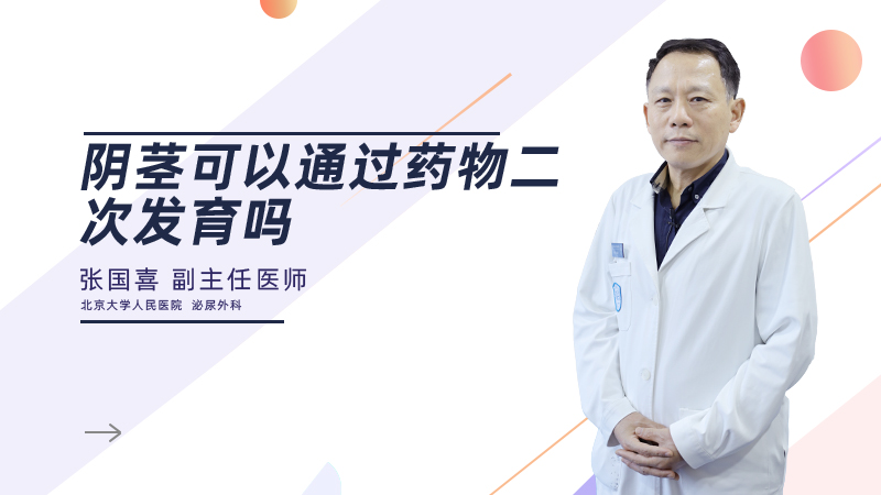 阴茎可以通过药物二次发育吗