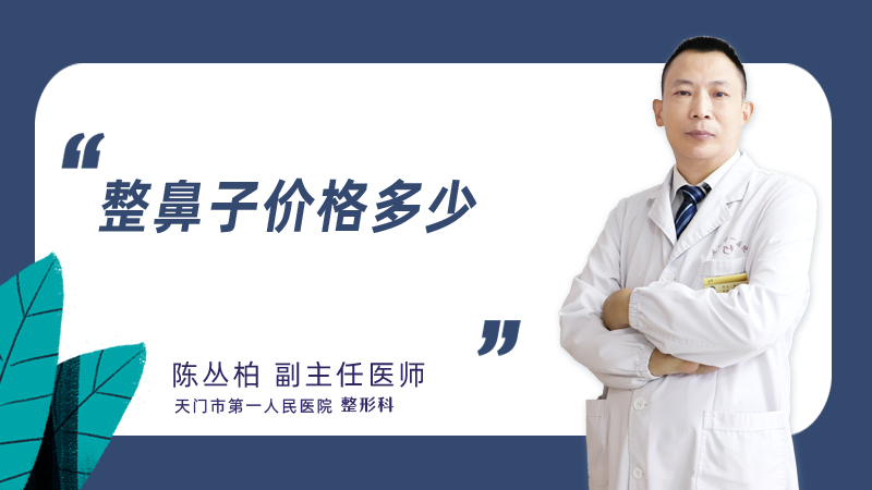 整鼻子价格多少