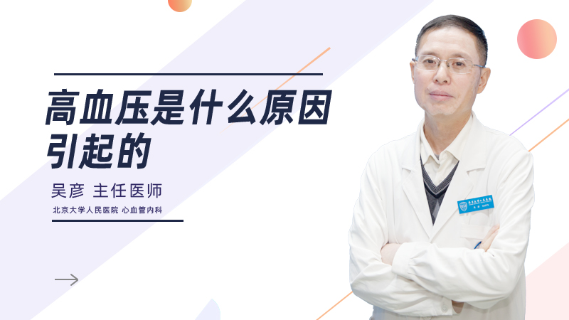 高血压是什么原因引起的