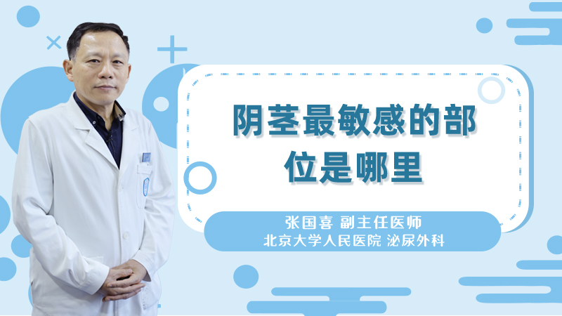 阴茎最敏感的部位是哪里