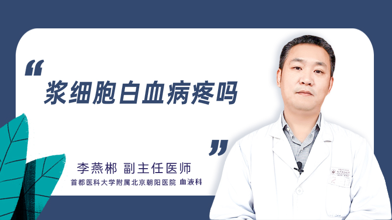 浆细胞白血病疼吗