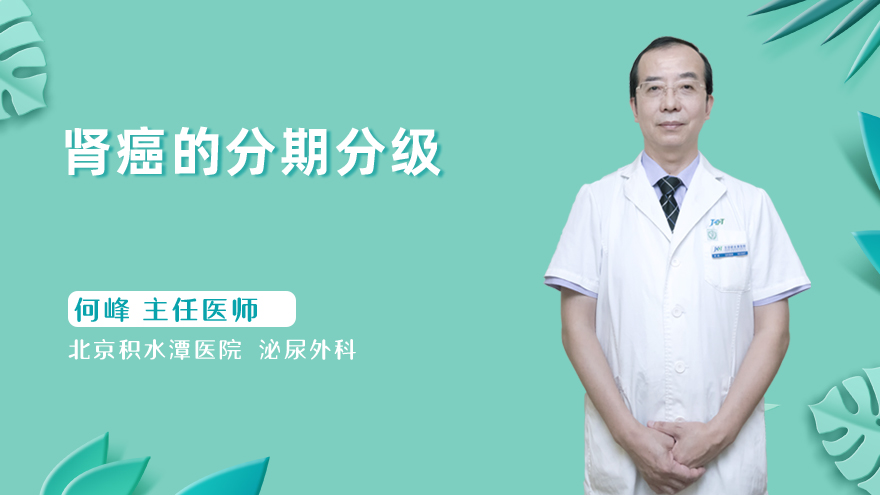 肾癌的分期分级