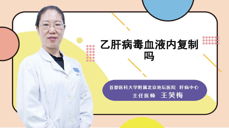 乙肝病毒血液内复制吗