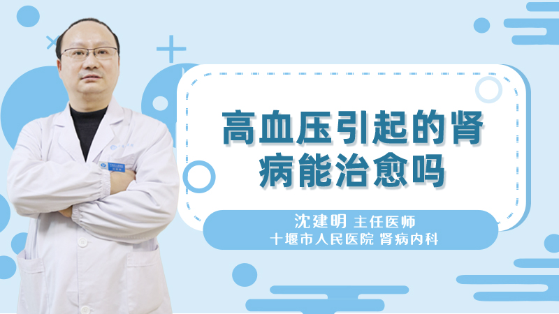 高血压引起的肾病能治愈吗