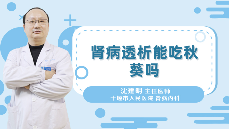 肾病透析能吃秋葵吗