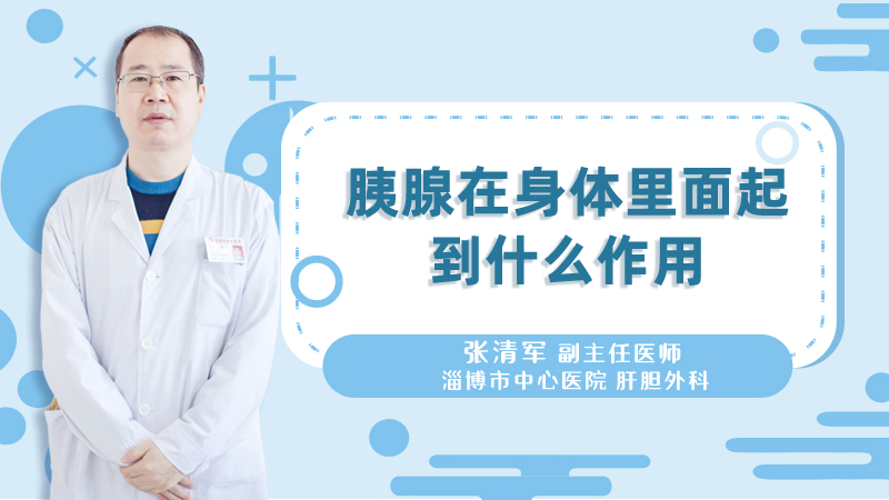 胰腺在身体里面起到什么作用
