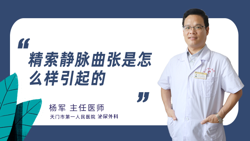 精索静脉曲张是怎么样引起的