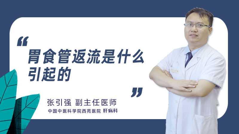 胃食管返流是什么引起的