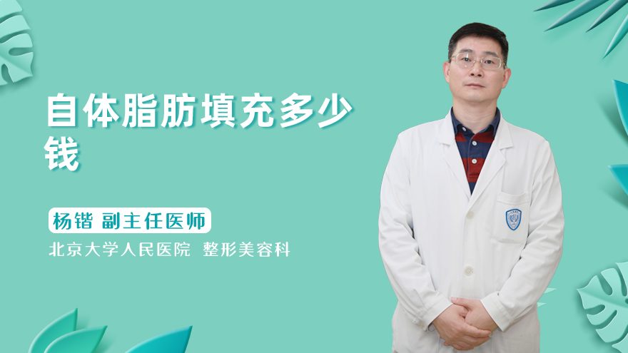 自体脂肪填充多少钱