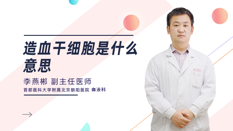 造血干细胞是什么意思