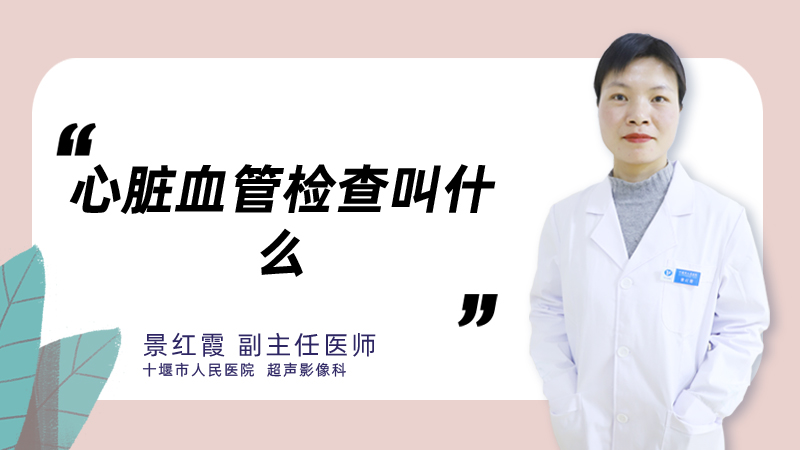 心脏血管检查叫什么