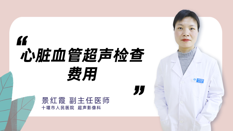 心脏血管超声检查费用