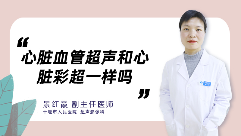 心脏血管超声和心脏彩超