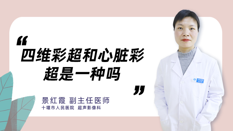 四维彩超和心脏彩超是一种吗